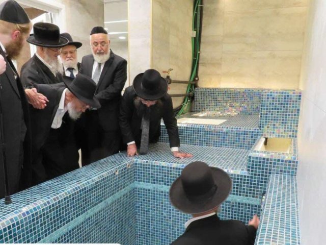 צילום: א. מיכאלי