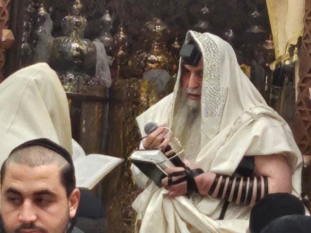 צילום: א. מיכאלי