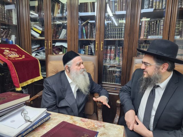 צילום: א. מיכאלי