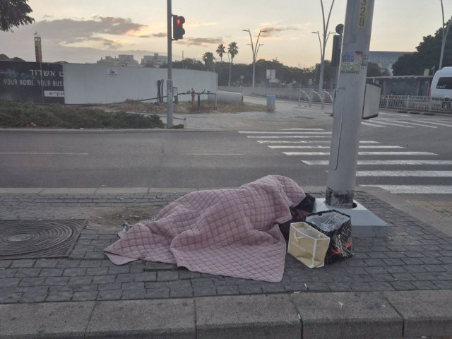 צילום מערכת אשדוד נט 