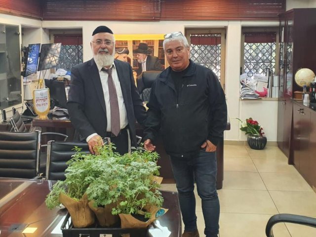 צילום: א. מיכאלי