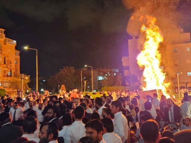 צילום: א. מיכאלי