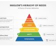 תאוריית הצרכים של מאסלו