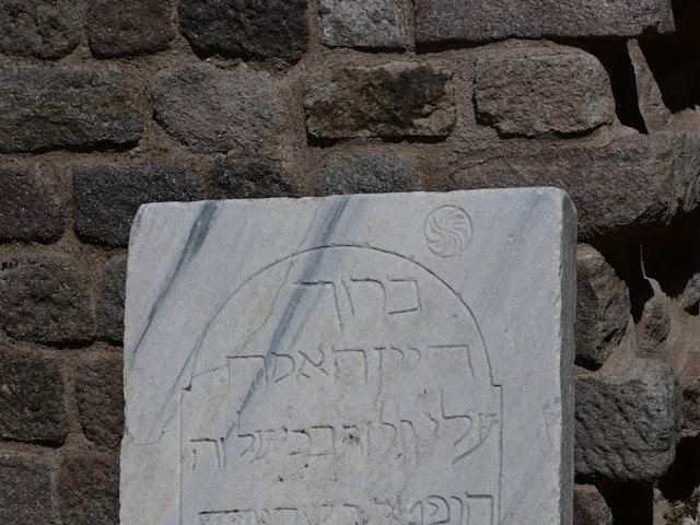קרדיט- Photo by Project:KENO on Unsplash