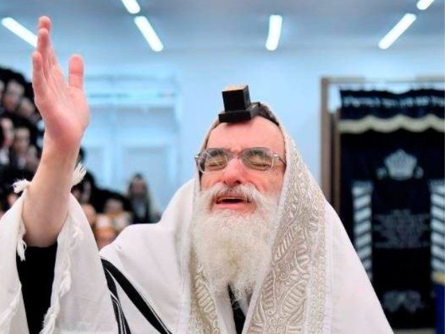 צילום: י פרוכטר