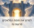 פרשת השבוע: פרשת נח