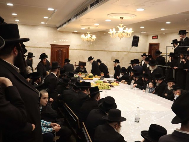 טיש טו בשבט בפיטסבורג. יואל פ