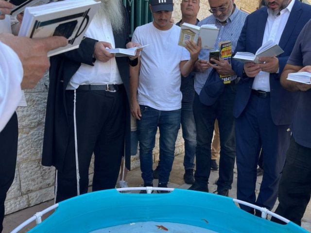 תשליך עם רבי מאיר אבוחצירא. א' מיכאלי