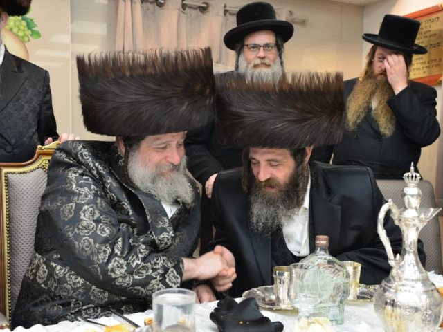 צילום: יוסי לוי