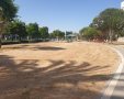 הדשא נעקר ממקומו והפארק נותר עירום. צילום: אשדוד נט