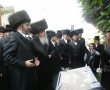 כמיטב המסורת: אדמו"רי העיר במעמד ברכת האילנות בחצר 'קהל יראים'