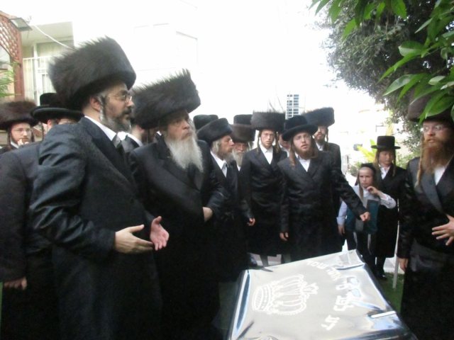 צילום: יוסי לוי