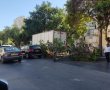 חלק מעץ קרס על הכביש ברובע ג'; הנהגת ניצלה בנס
