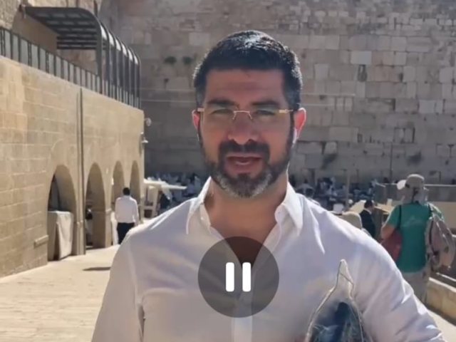 אלי נכט