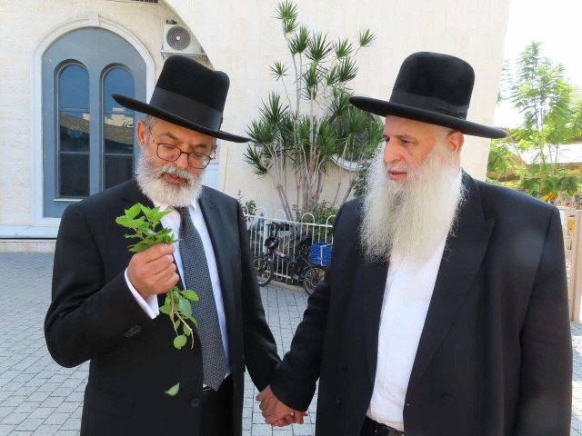 הרב אוחנה עם רבי מאיר אבוחצירא. א' מיכאלי