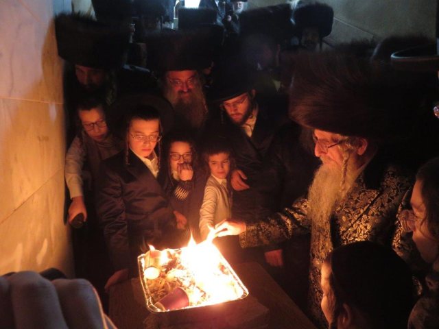צילום: א. מיכאלי