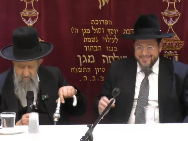 צילום: א. מיכאלי