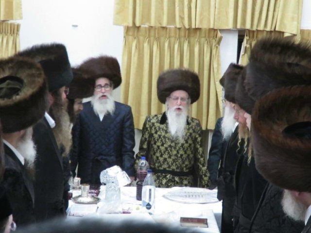 צילום: באדיבות המצלם