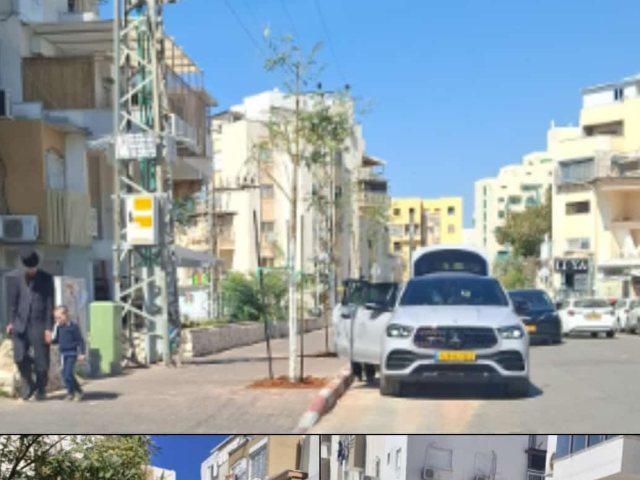 נטיעות ברובע ז'
