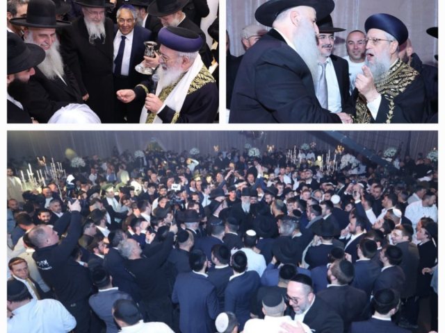 צילום: יעקב כהן