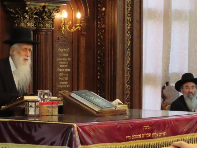צילום: א. מיכאלי