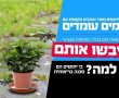 כך נתגונן מהיתושים המסוכנים