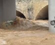 אחרי הגשמים: צפו: נחל לכיש זורם בעוצמה מרהיבה (וידאו)