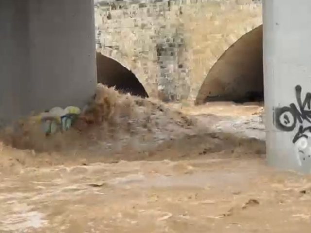 צילום: שמואל דוד