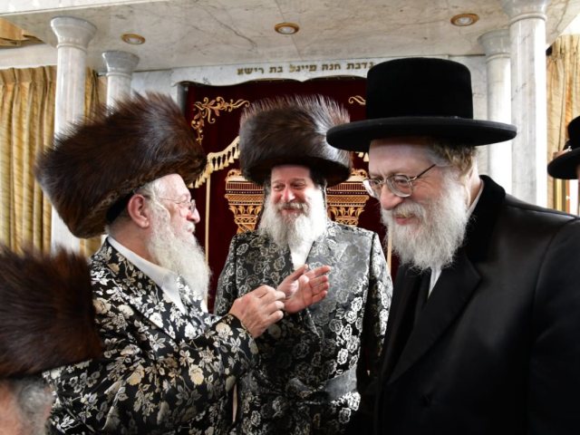 צילום: יוסי לוי
