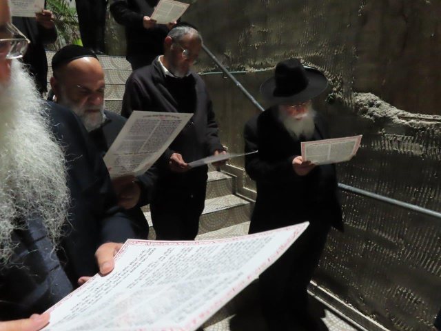 צילום: א. מיכאלי