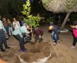 עץ לזיכרון והנצחה: עשרות עצים ניטעו בחורשת הנופלים באשקלון לזכר חללי העיר  