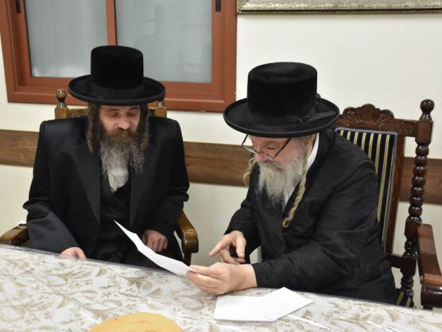  צילום: יהודה פרקוביץ
