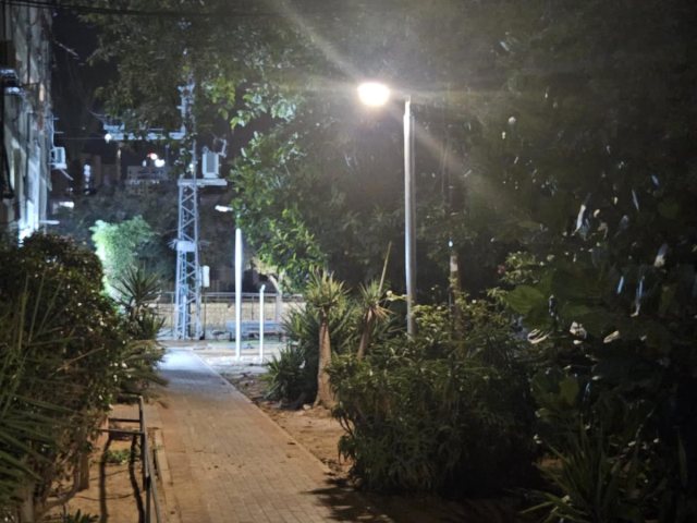 צילום: שמואל דוד