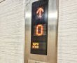 "מעלין בקודש": הראשון לציון הגר"ד יוסף בפסק הלכה שמעורר סערה בבירה