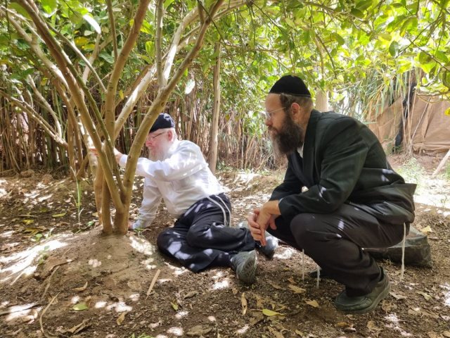 בודקים מהשורש. צילום: יח"צ